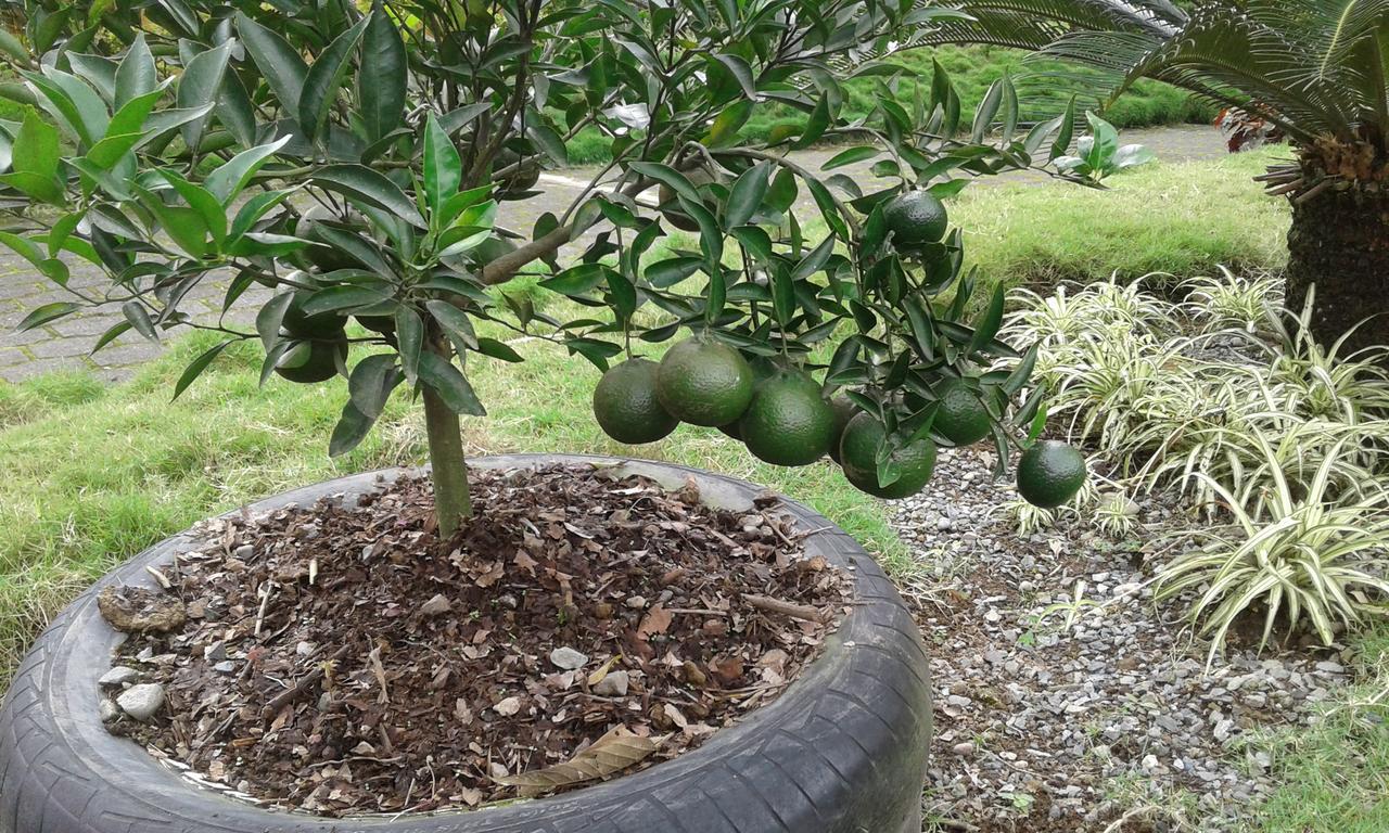Estancia La Colina Santo Domingo de los Colorados Εξωτερικό φωτογραφία
